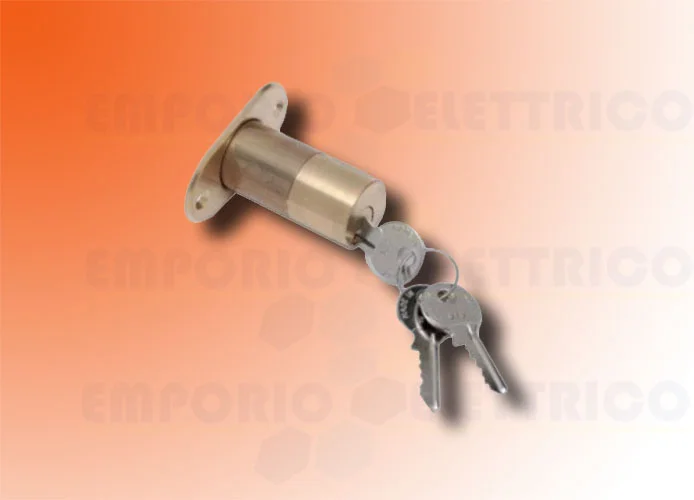 faac external cylinder with 2 electrolock keys 712652001/36