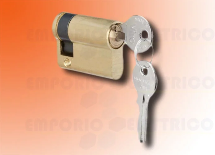 faac european cylinder lock for t20 t21 712052
