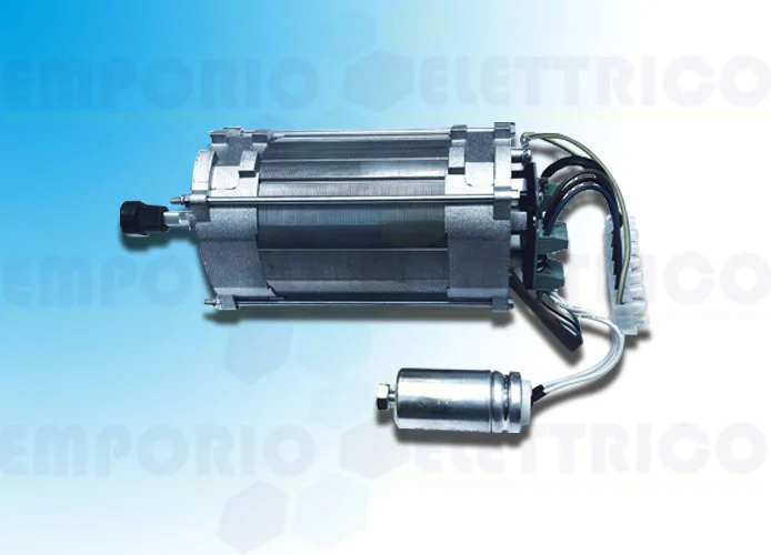 came spare part of the motor group slow axo series 230v 88001-0142