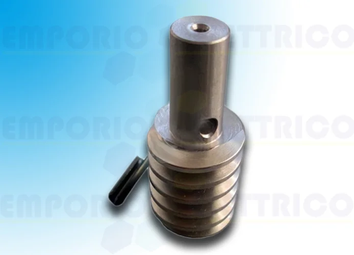 came spare part endless screw for c-bx 119ricx029