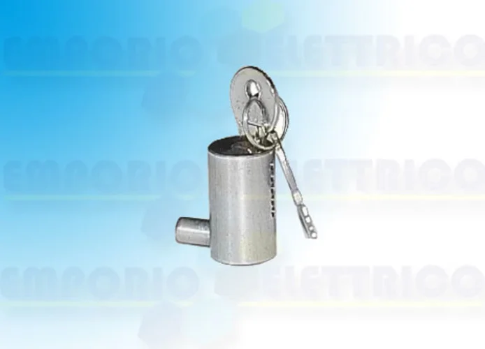 came lock cylinder with din key 001d001 d001